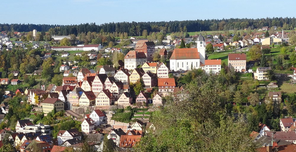 Het kleine stadje Altensteig