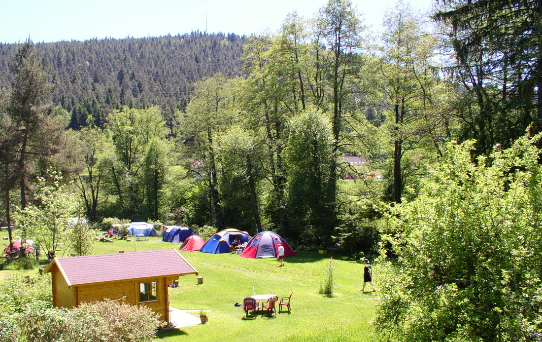 Car-free tent site, camping Müllerwiese