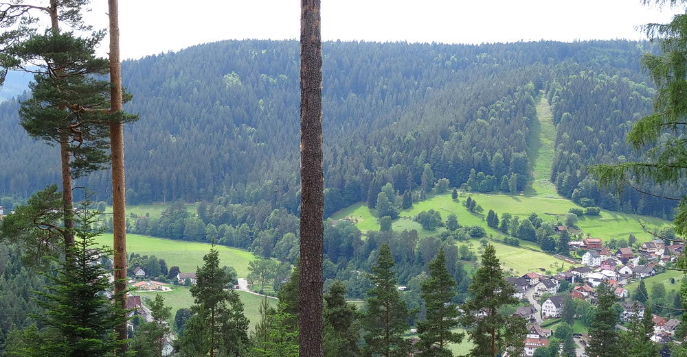 Luftbild Enzklösterle mit Campingplatz Müllerwiese
