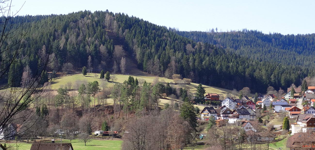 Enzklösterle, view of the Hirschtal