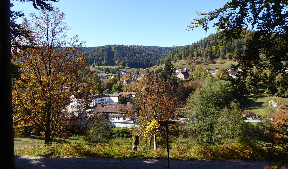 The Enz valley at Enzklösterle