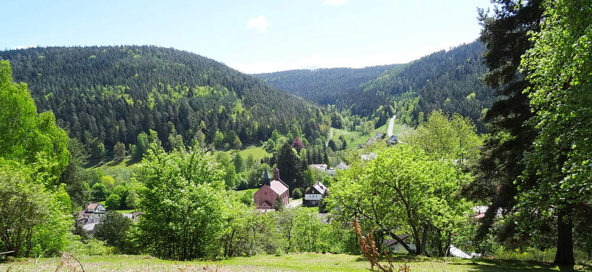 Enzklösterle: Lappach valley