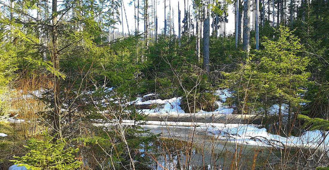 Nature reserve Bärlochkar
