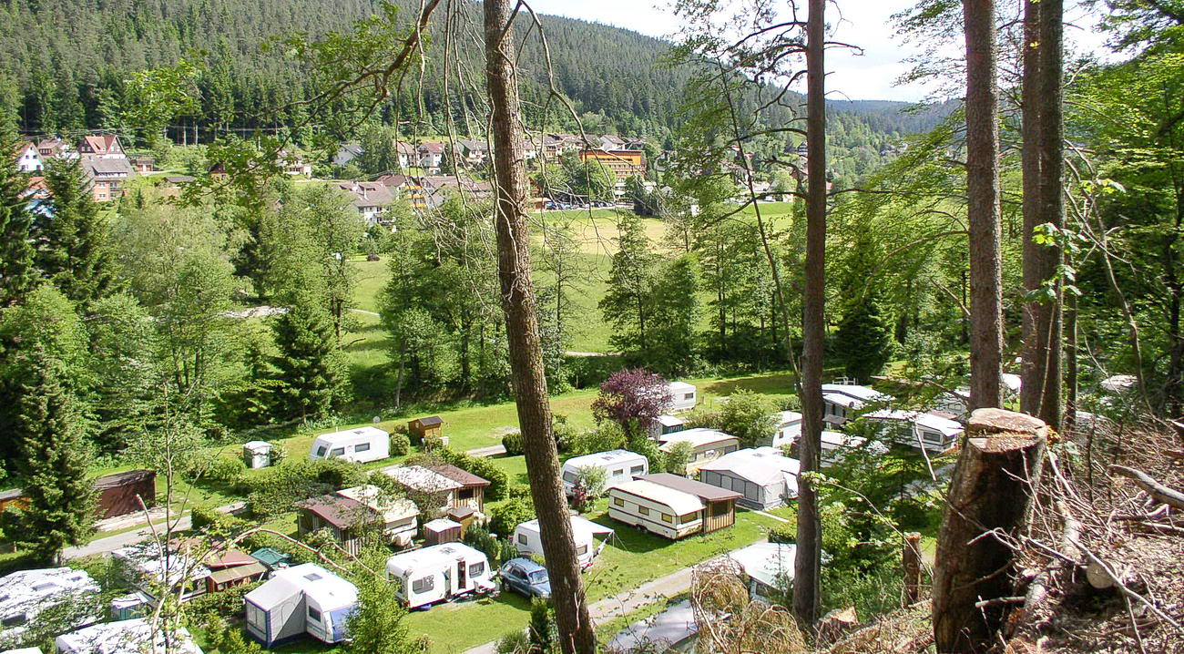 Caravan area at campsite Müllerwiese