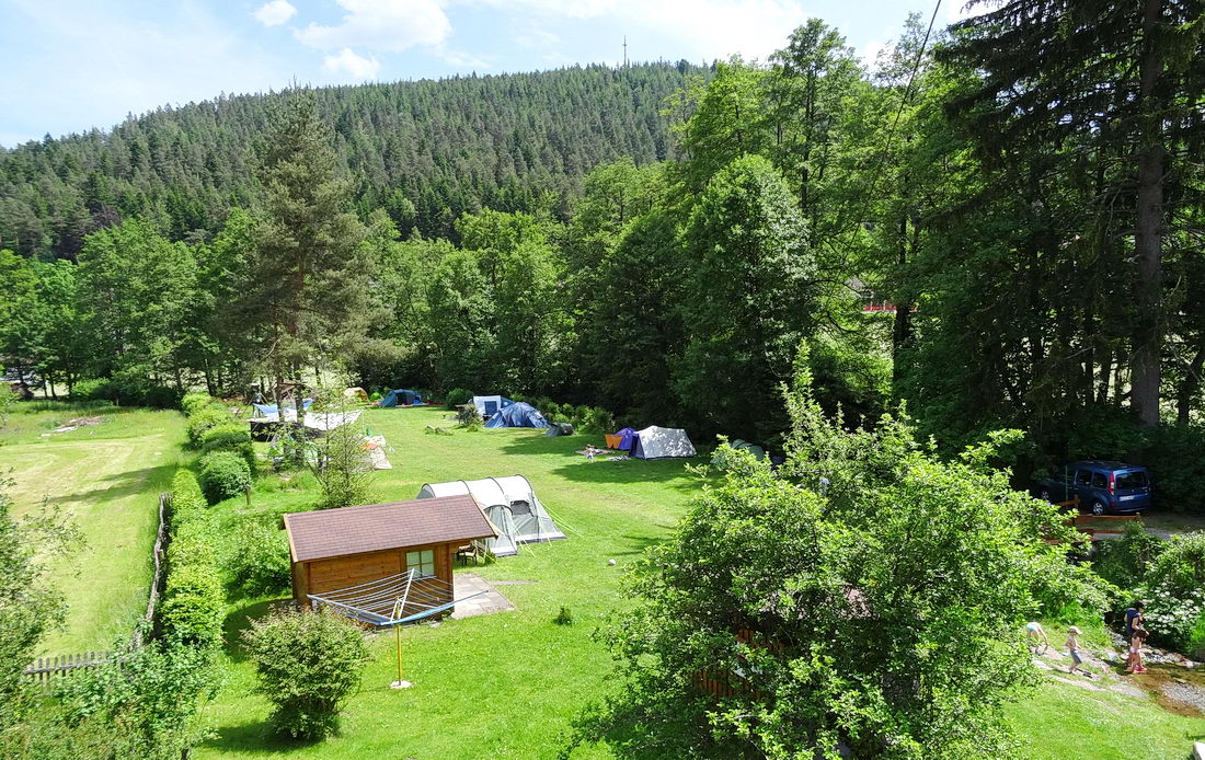Tentweide op zwarte woud camping Müllerwiese